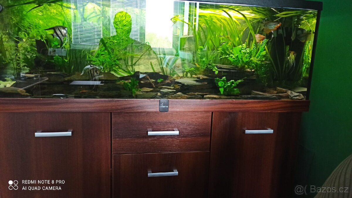 Akvarium