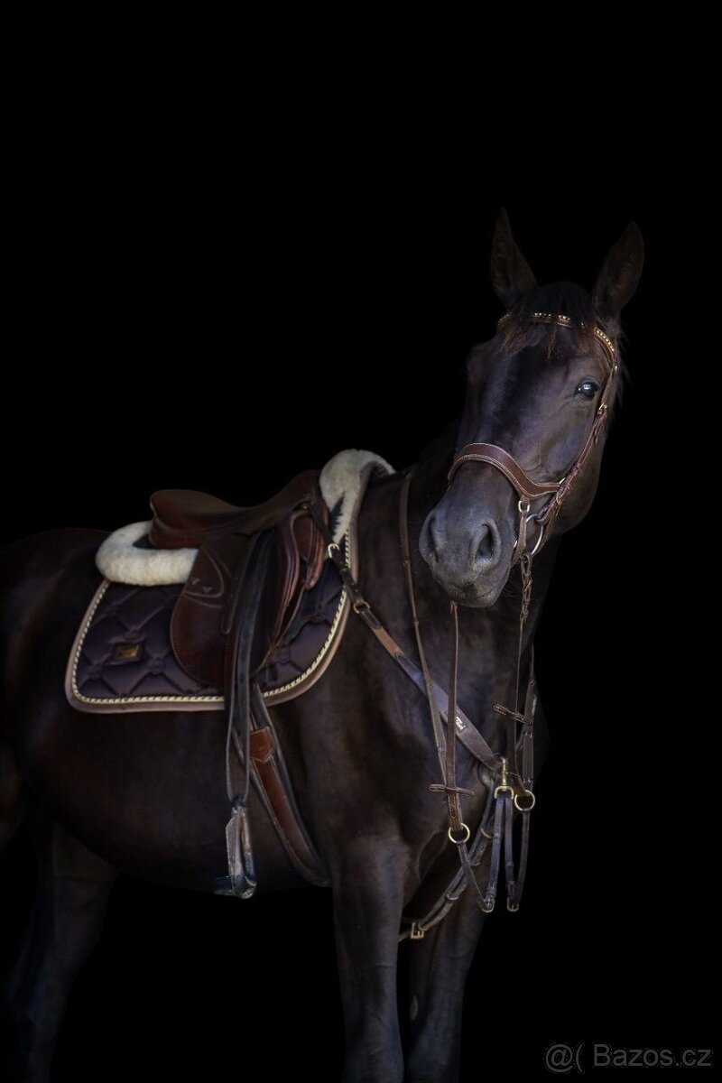 KRÁSNÝ ČERNÝ VALACH NA SPORT I REKREACI