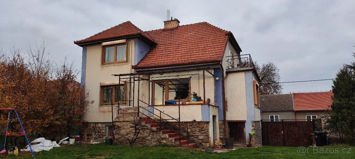 Brněnská francouzská křidlice