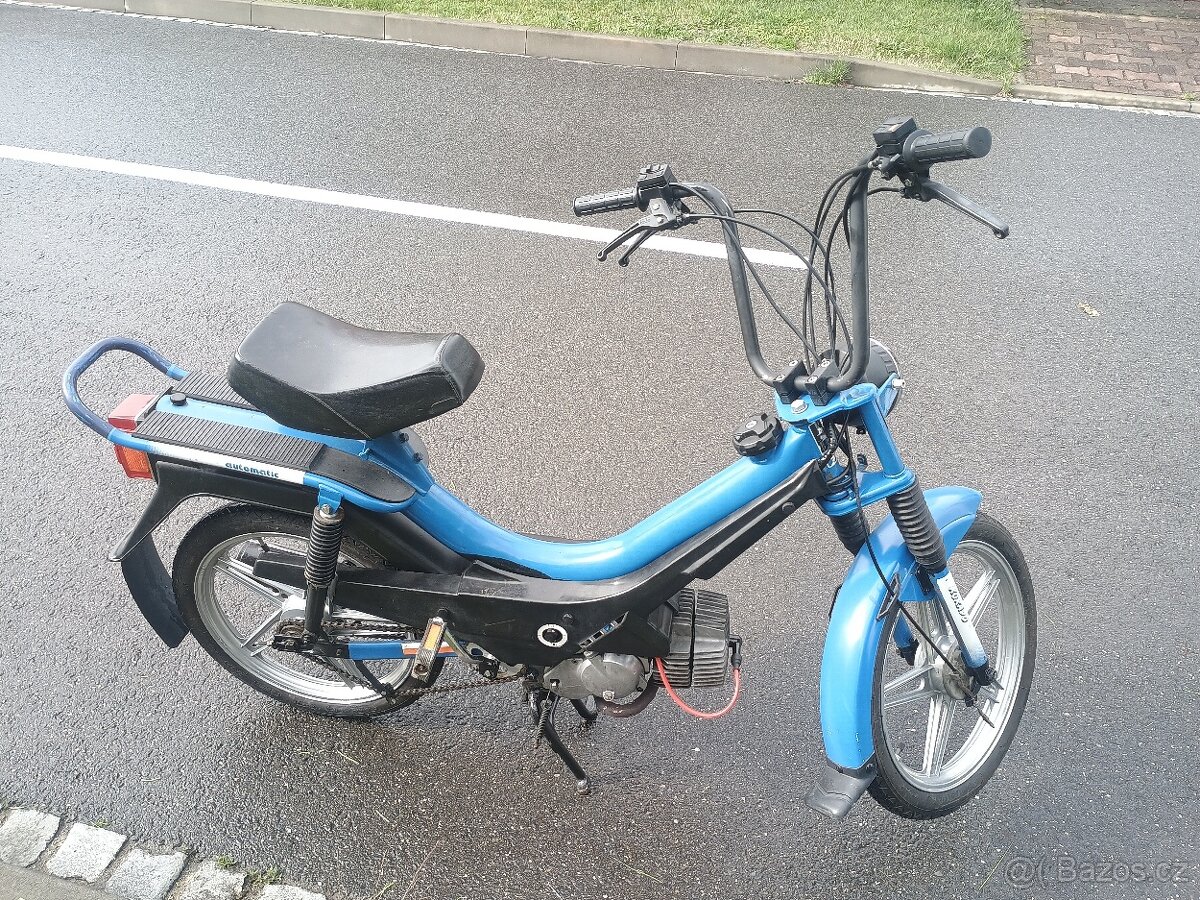 Manet korado(Babeta)