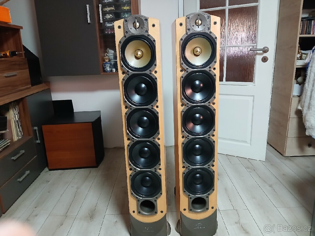 Paradigm reference signature S8