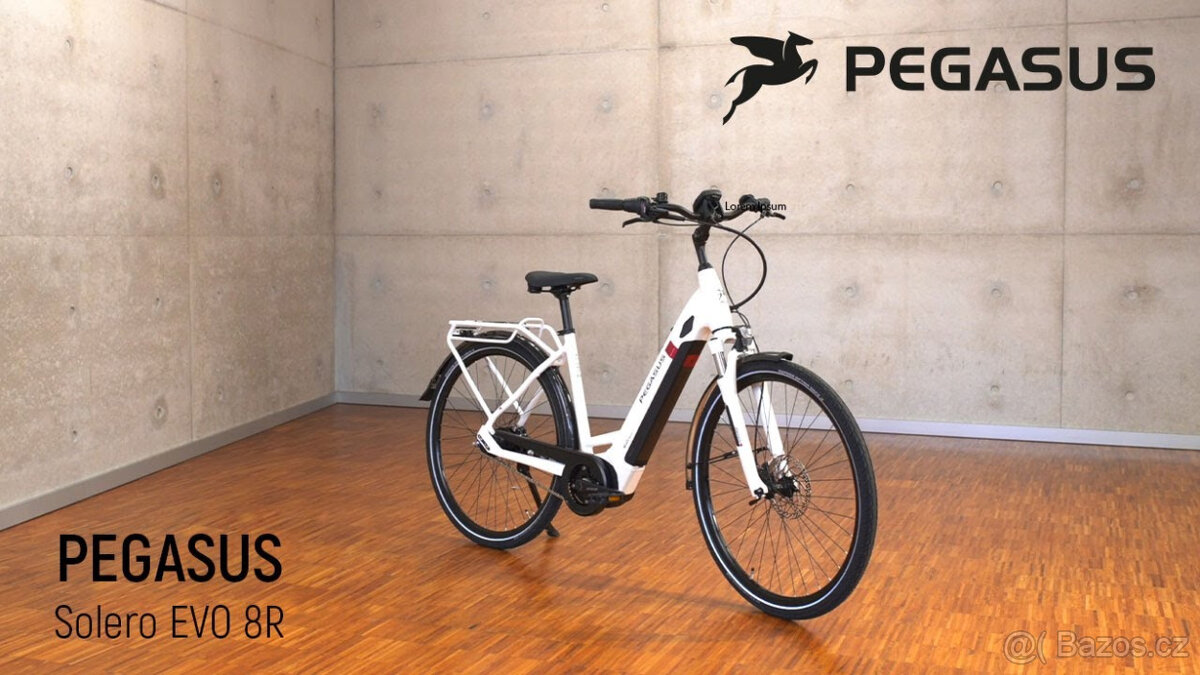 Pegasus Solero EVO 8R 2022