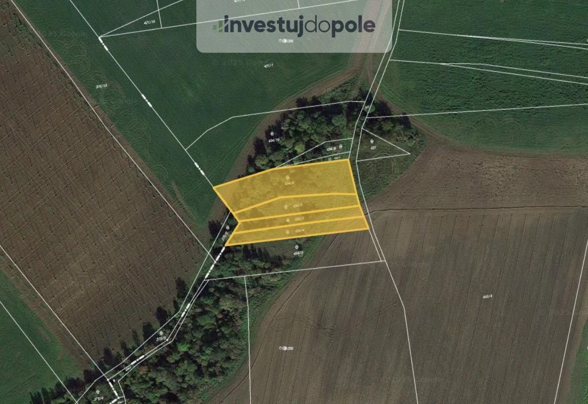 Prodej specifického pozemku 3 723 m², Nové Sedlo - Číňov