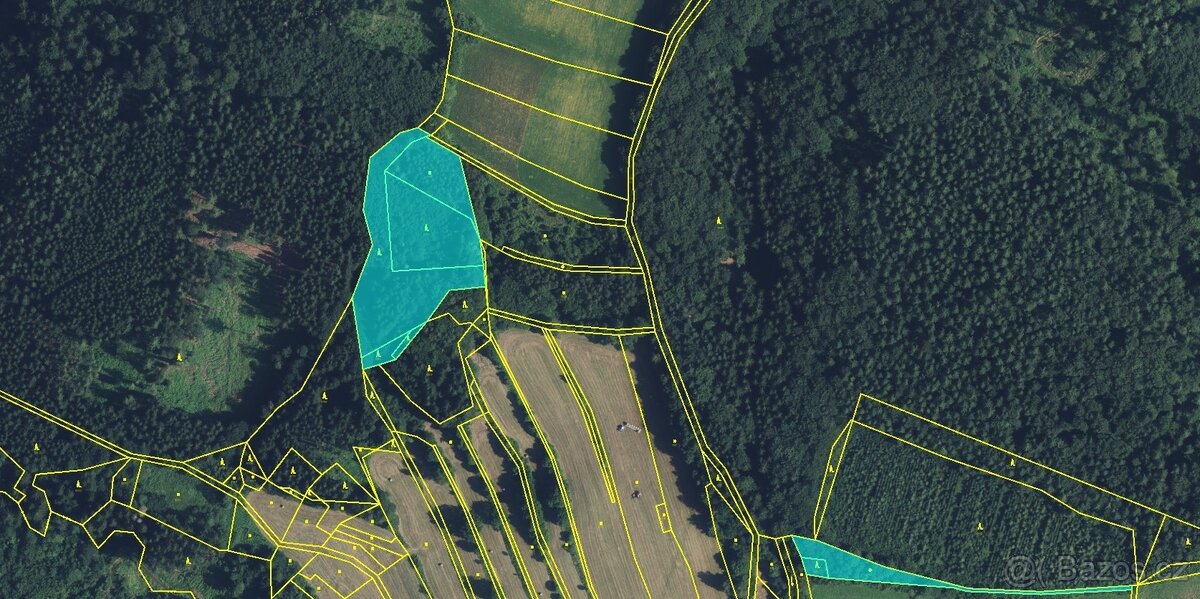 Prodej, les, 11901m2, Drozdov