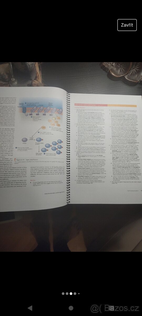 Biology ,Biological Chemistry