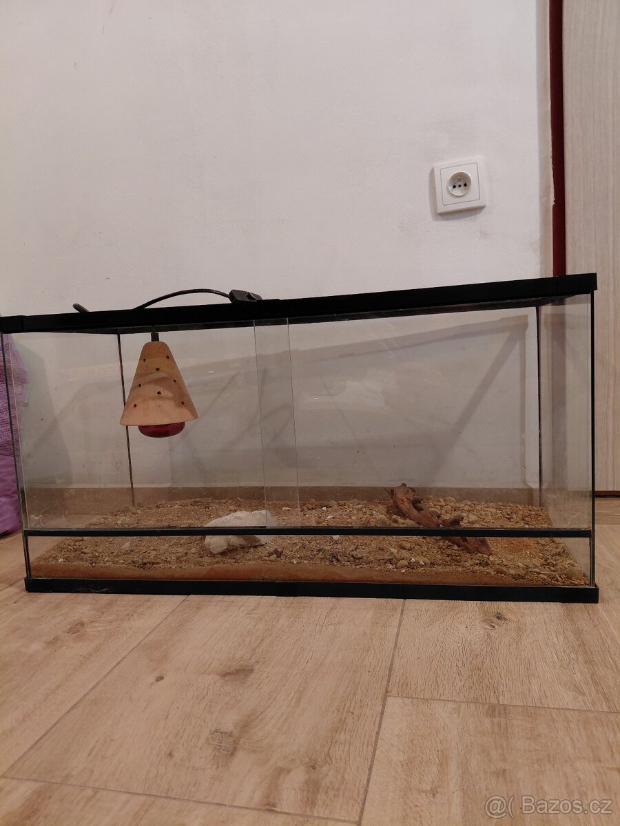 Terarium