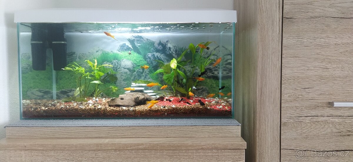 Akvarium predám 50L