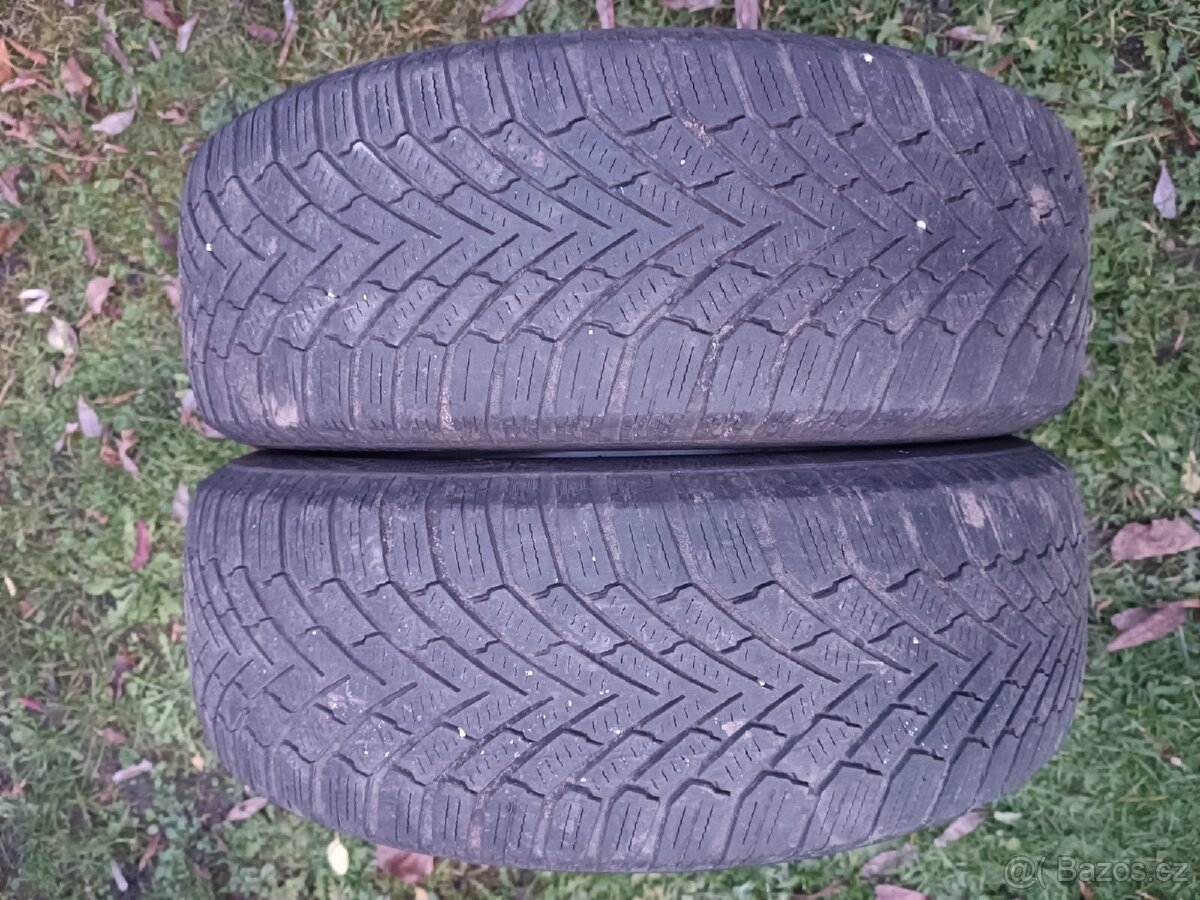 Zimní pneu 195/65 R15