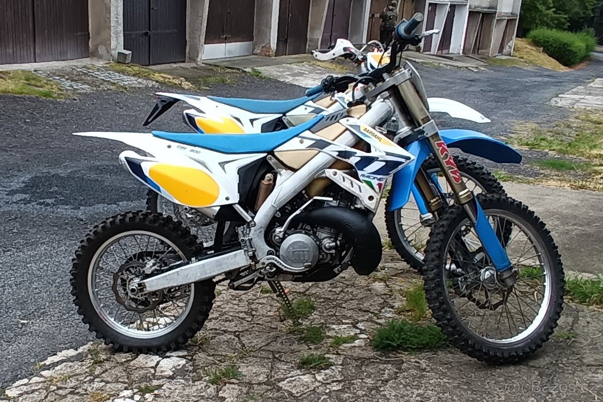TM EN 300