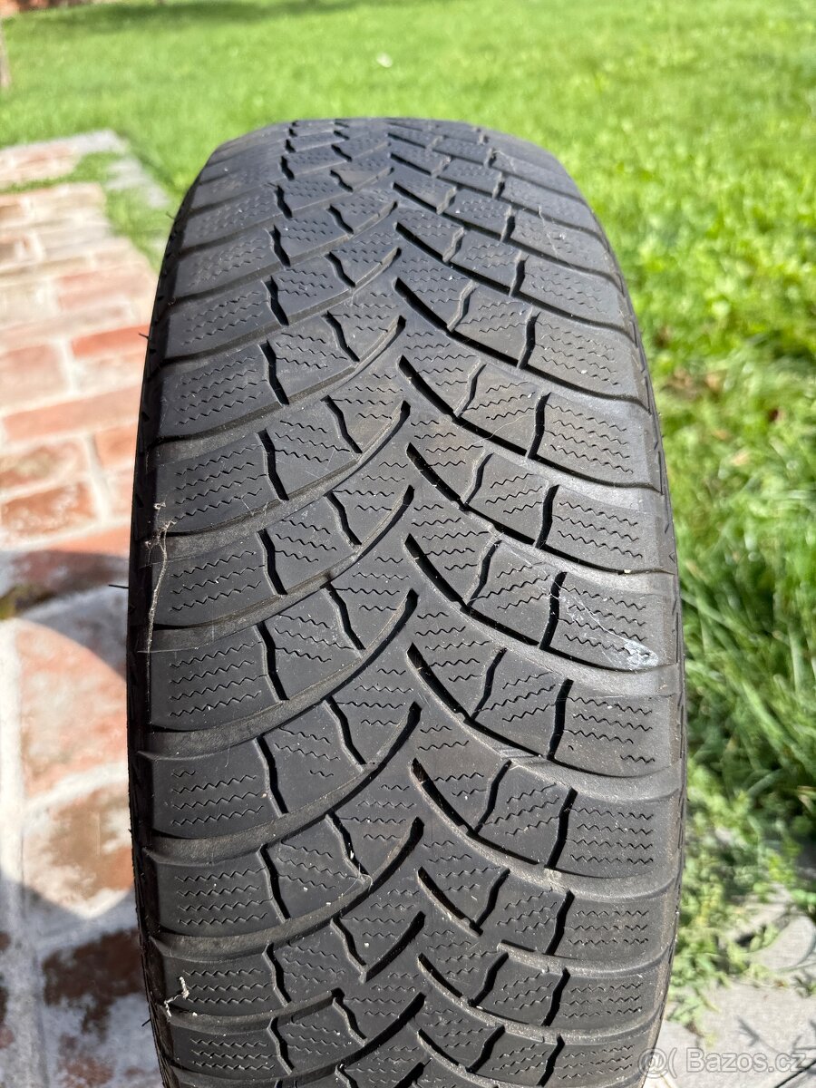 Bridgestone Blizak 195/65 R15