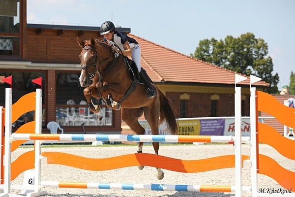 Chovná klisna s vynikajícím původem a sportovní výkonností