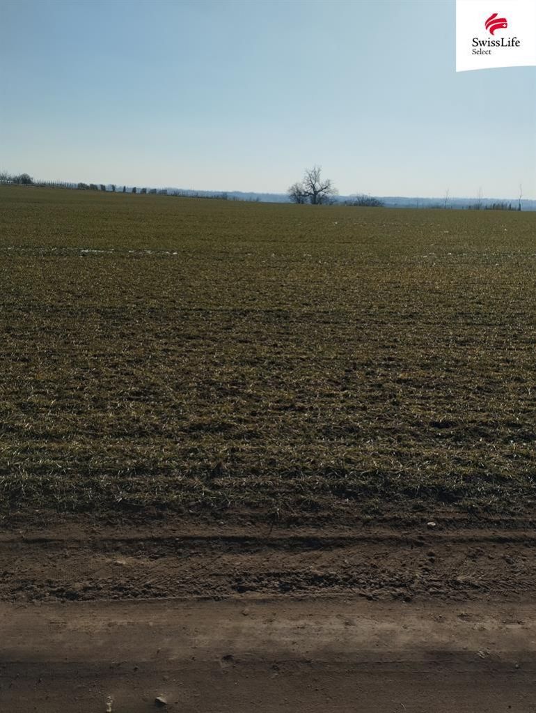 Prodej stavebního pozemku 4538 m2, Hrušovany nad Jevišovkou