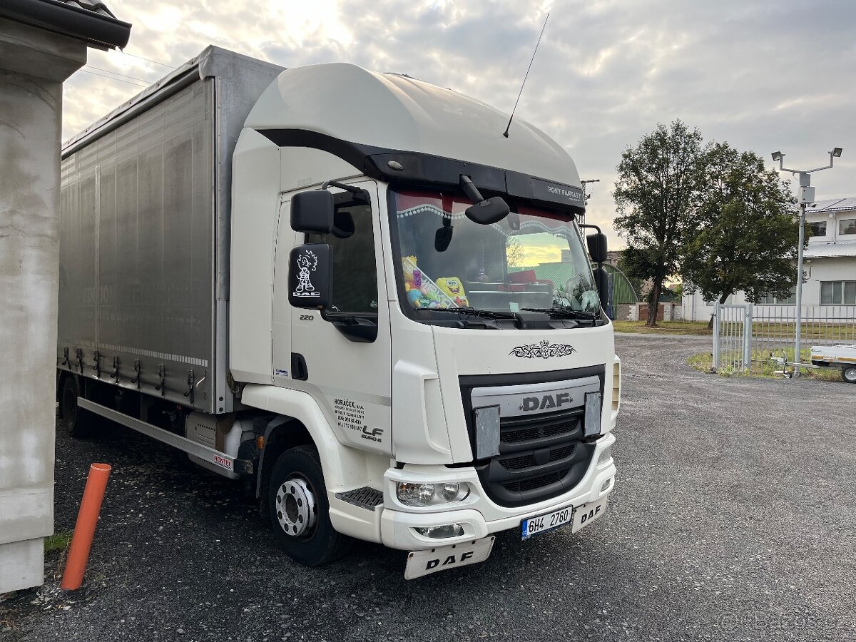 Daf lf 220 fa euro 6