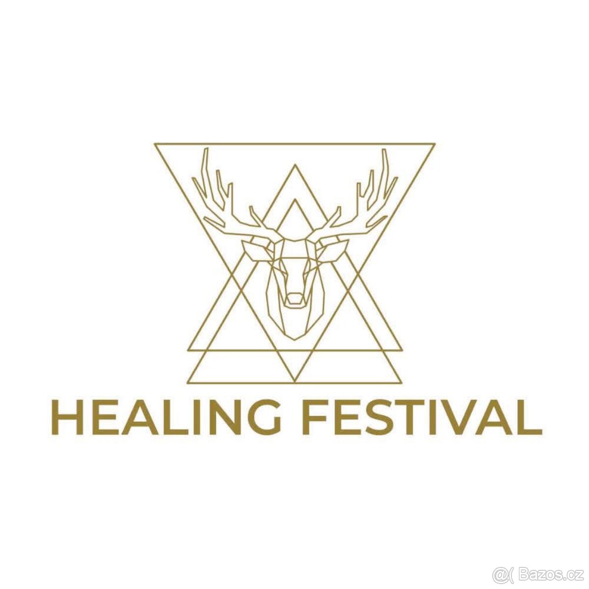 Poptávám vstupenky na healing festival