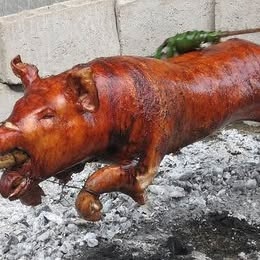 Sele na rožeň