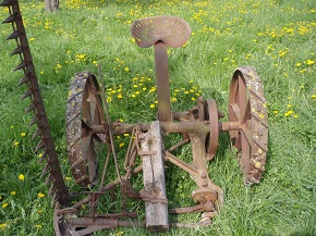 Koňská žačka