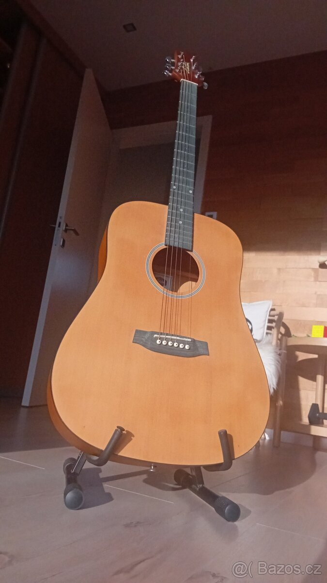 Ashton D20NTM se stojanem,super stav