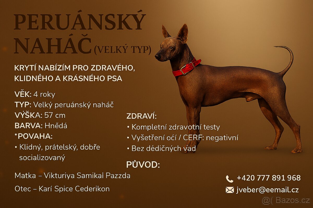 Peruánský naháč - krytí