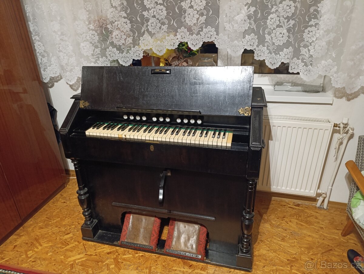 Harmonium Kotykiewicz