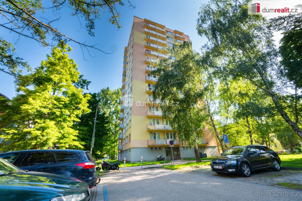 K pronájmu, byt 1+1 s balkónem a sklepem v nejvyšším podlaží