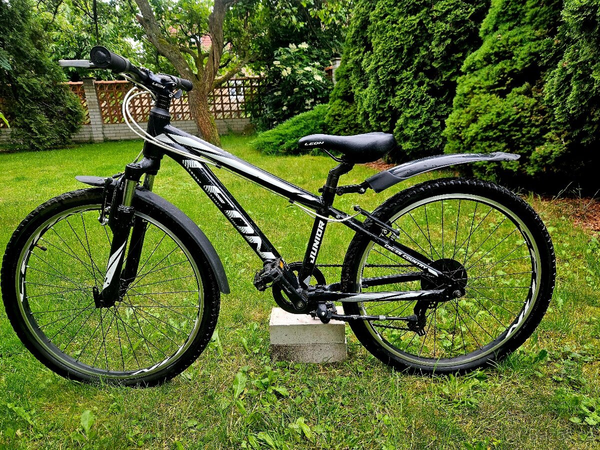 Detske hlinikove kolo Leon 24