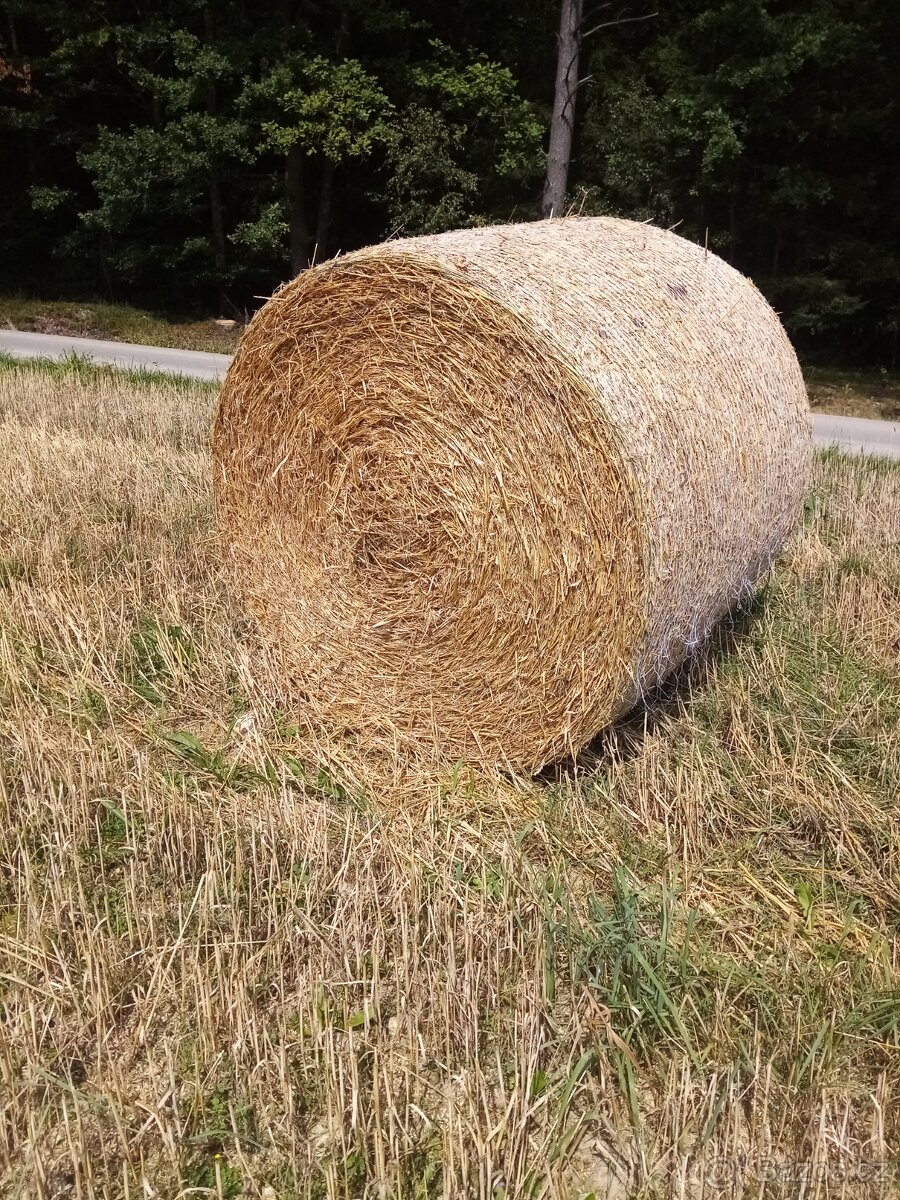 Pšeničná sláma
