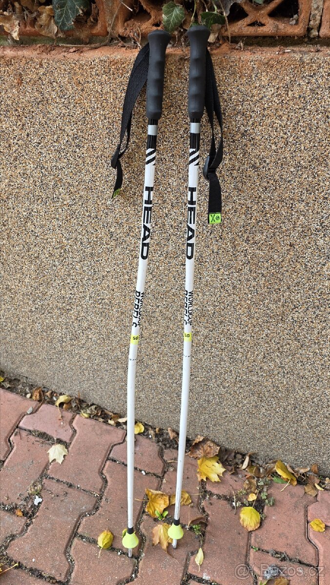 SG lyžařské hůlky junior HEAD 110