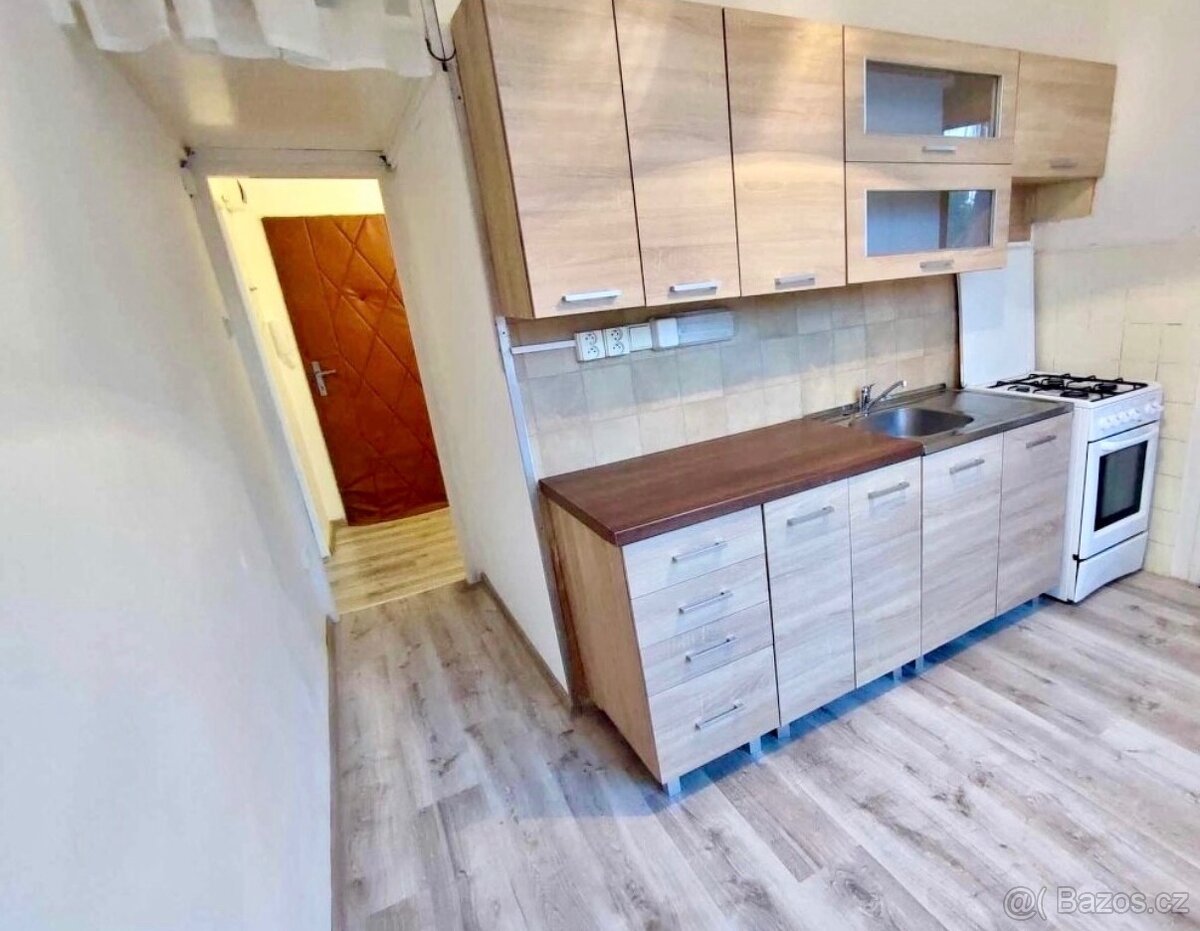 Nabízím k pronájmu byt pro jednu osobu