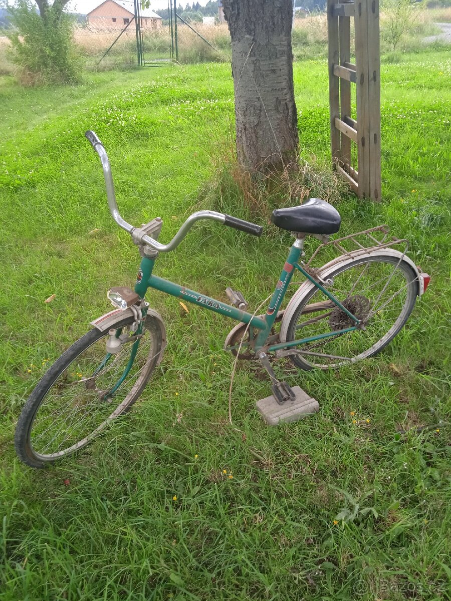 Eska dámská