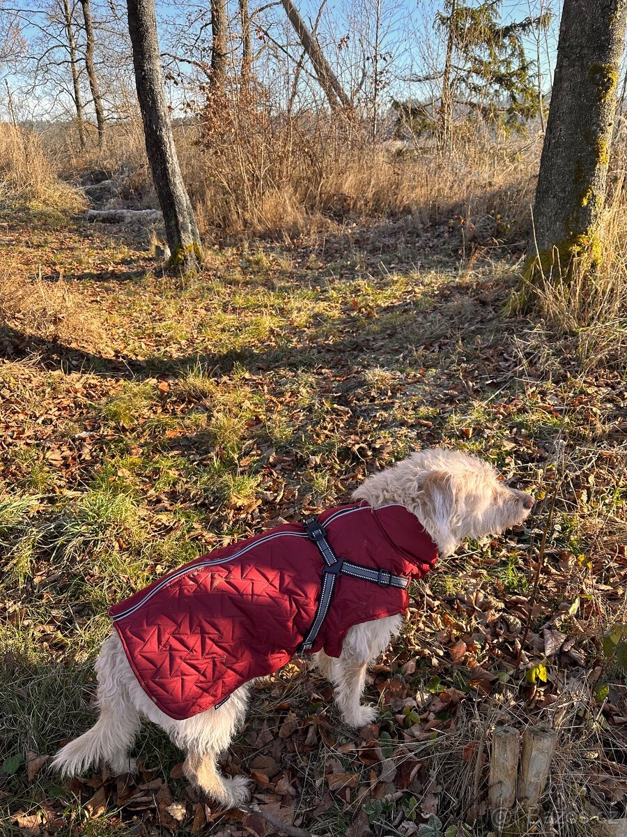 Nový obleček vyteplený 55 cm