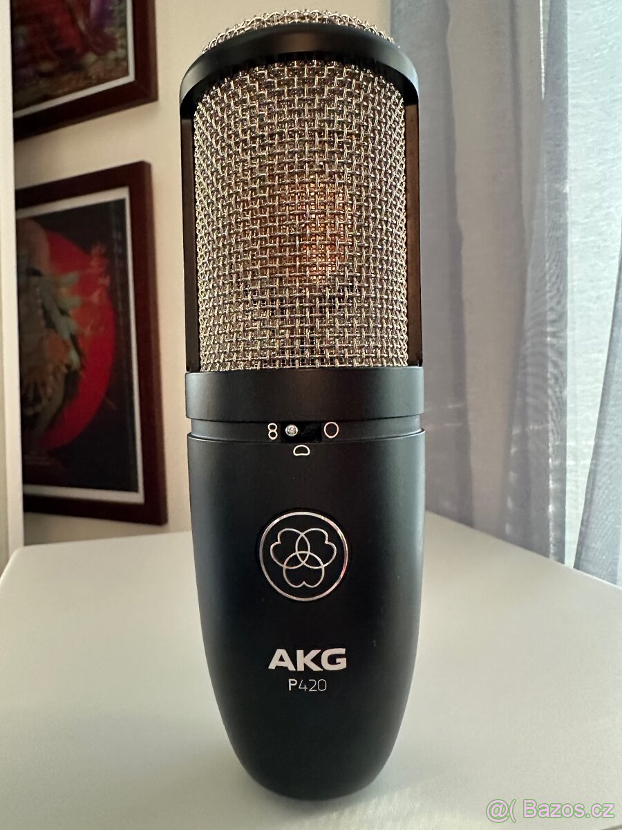 AKG - P420