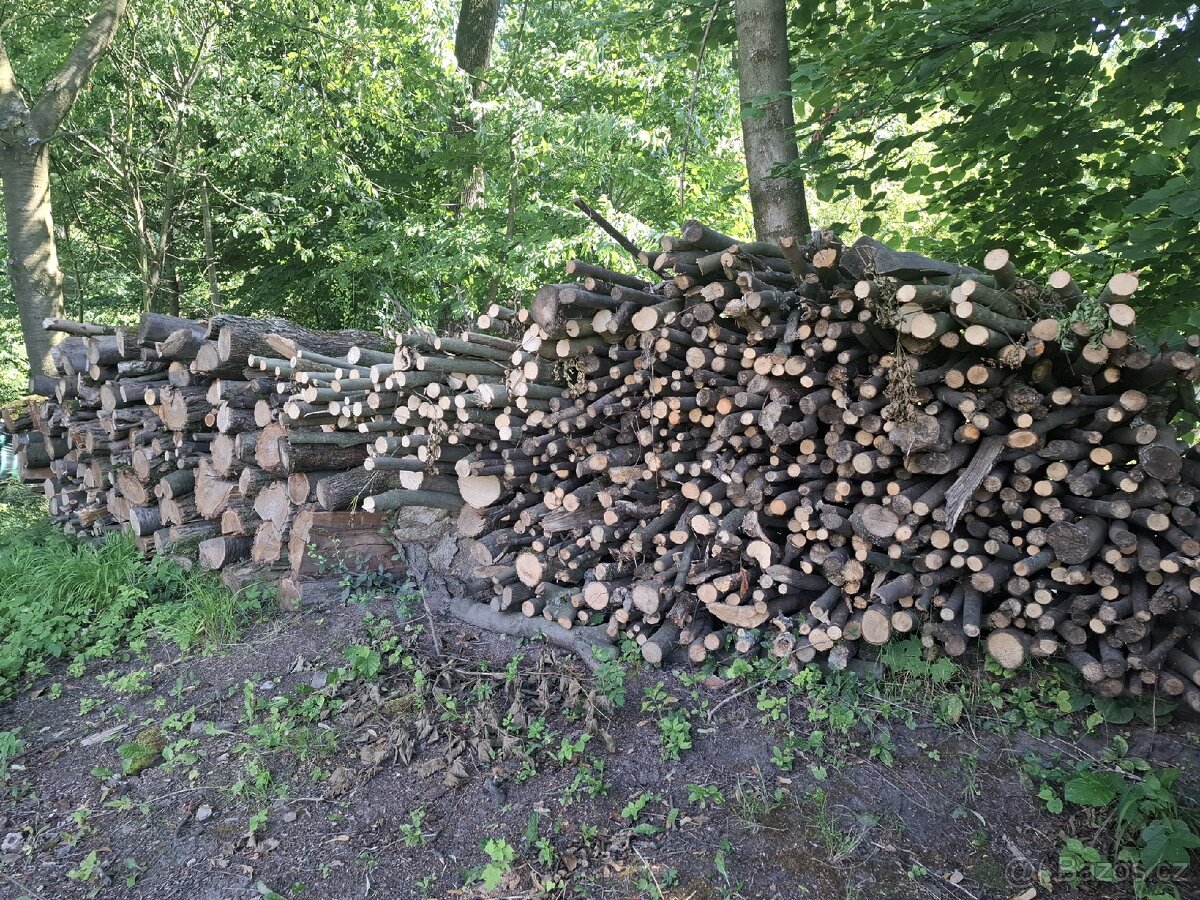 Prodám palivové dřevo 1,5m