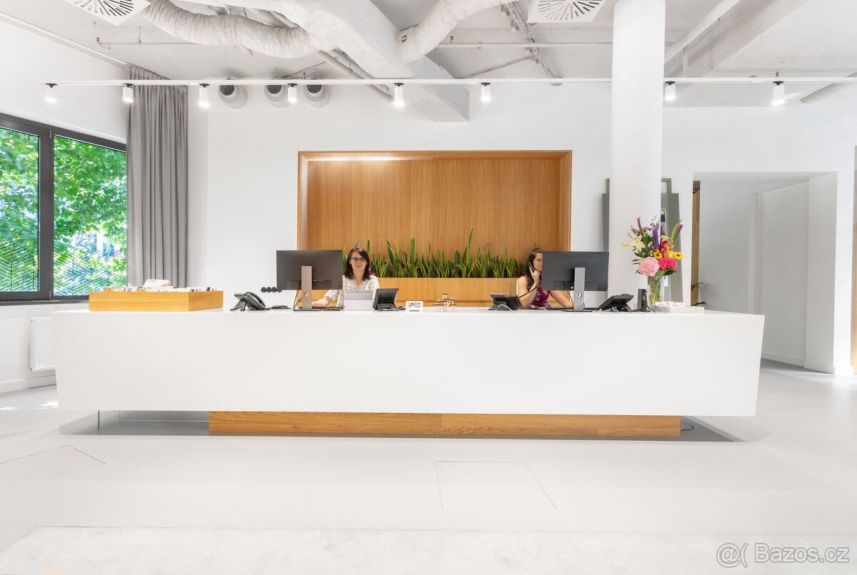 Pronájem virtuální kancelář, 5 m² - Praha - Karlín