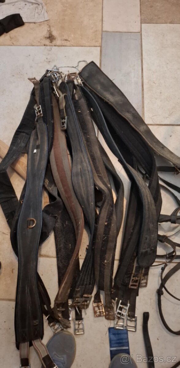 Anglické podbřišníky