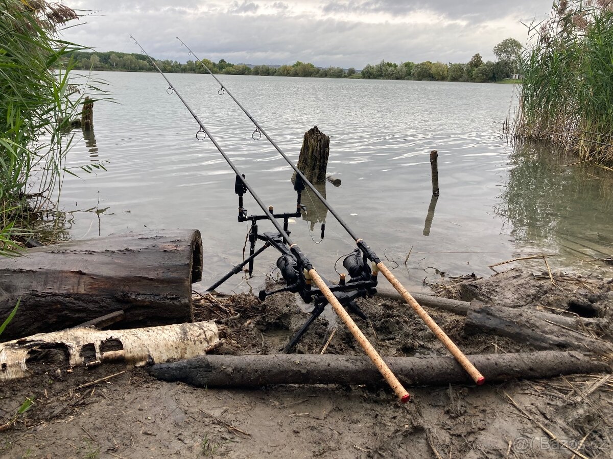 Daiwa basia