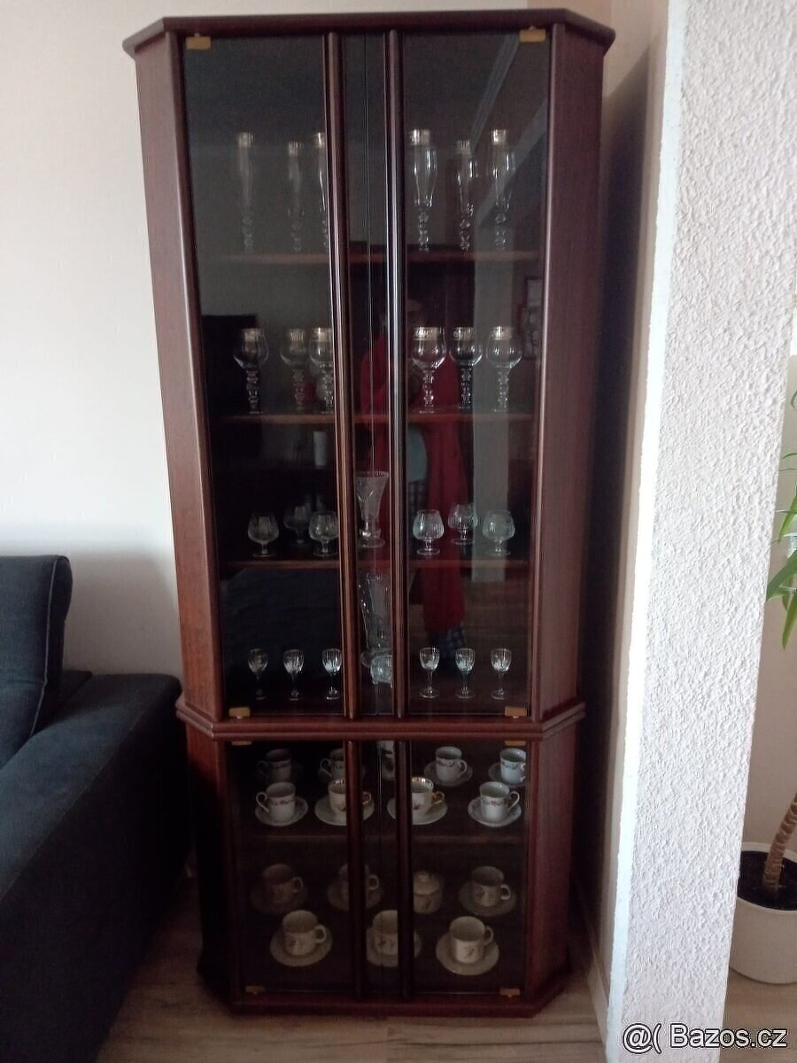 Vitrina knihovna
