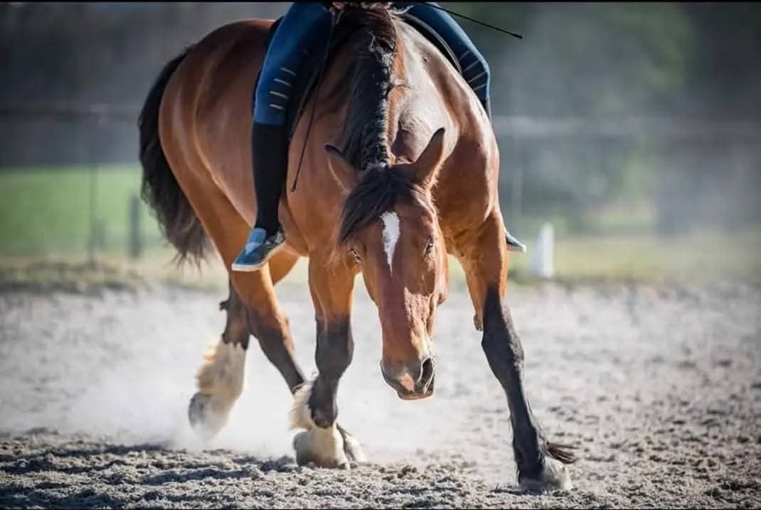 Částečný pronájem