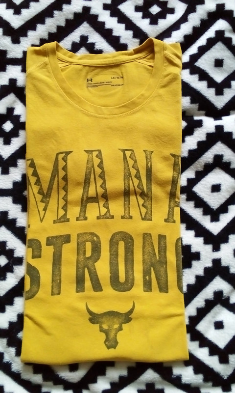 Pánské triko Under Armour Project Rock v.L
