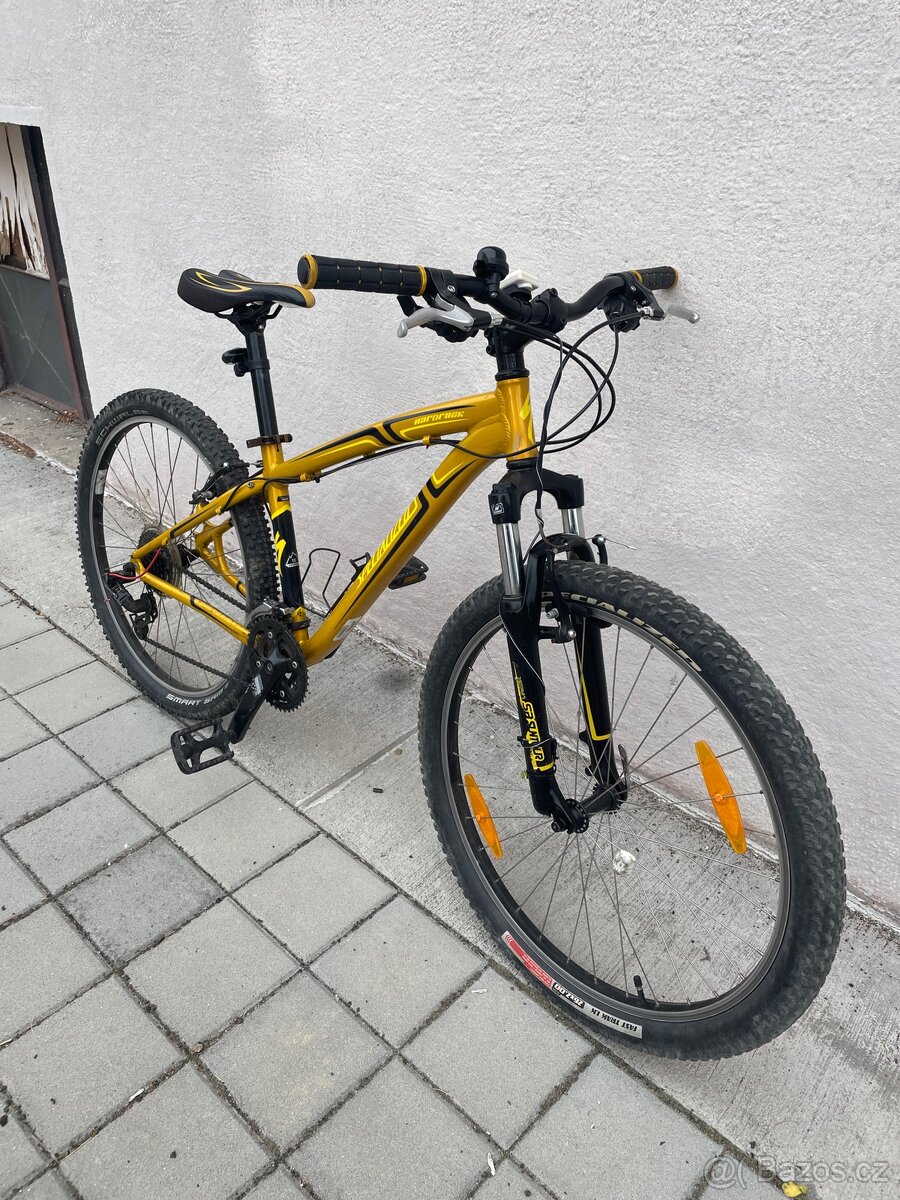 Dětské/Juniorské horské kolo Specialized (dostupné 2 ks)