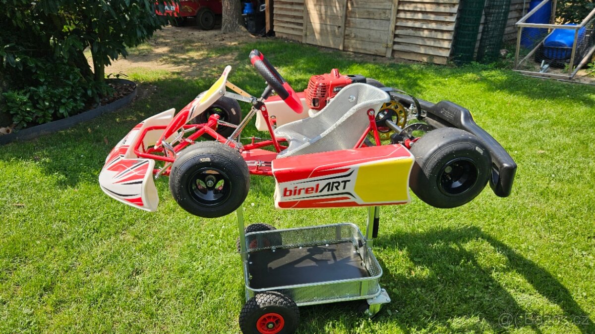 Birel EasyKart 50ccm školní. Motokára