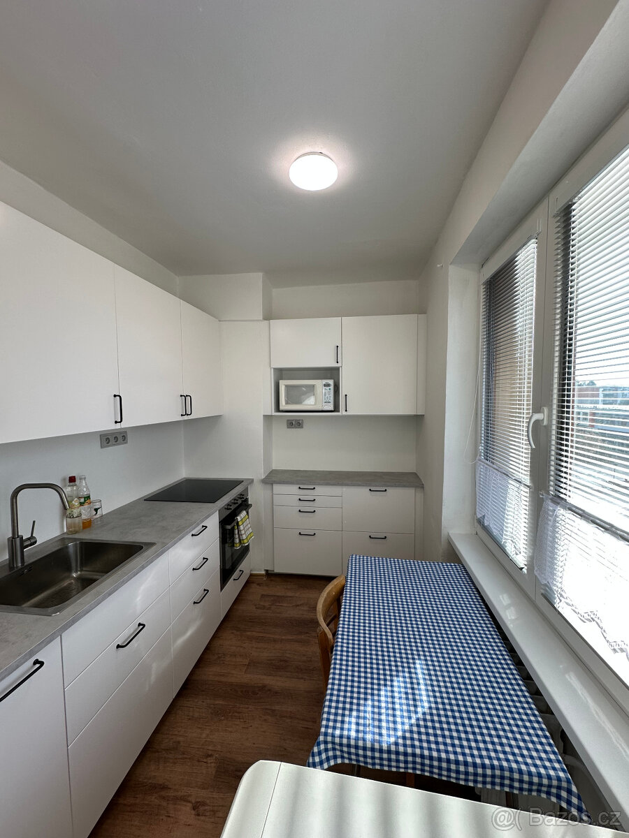 Pronájem bytu 2+1 Žďár nad Sázavou 3