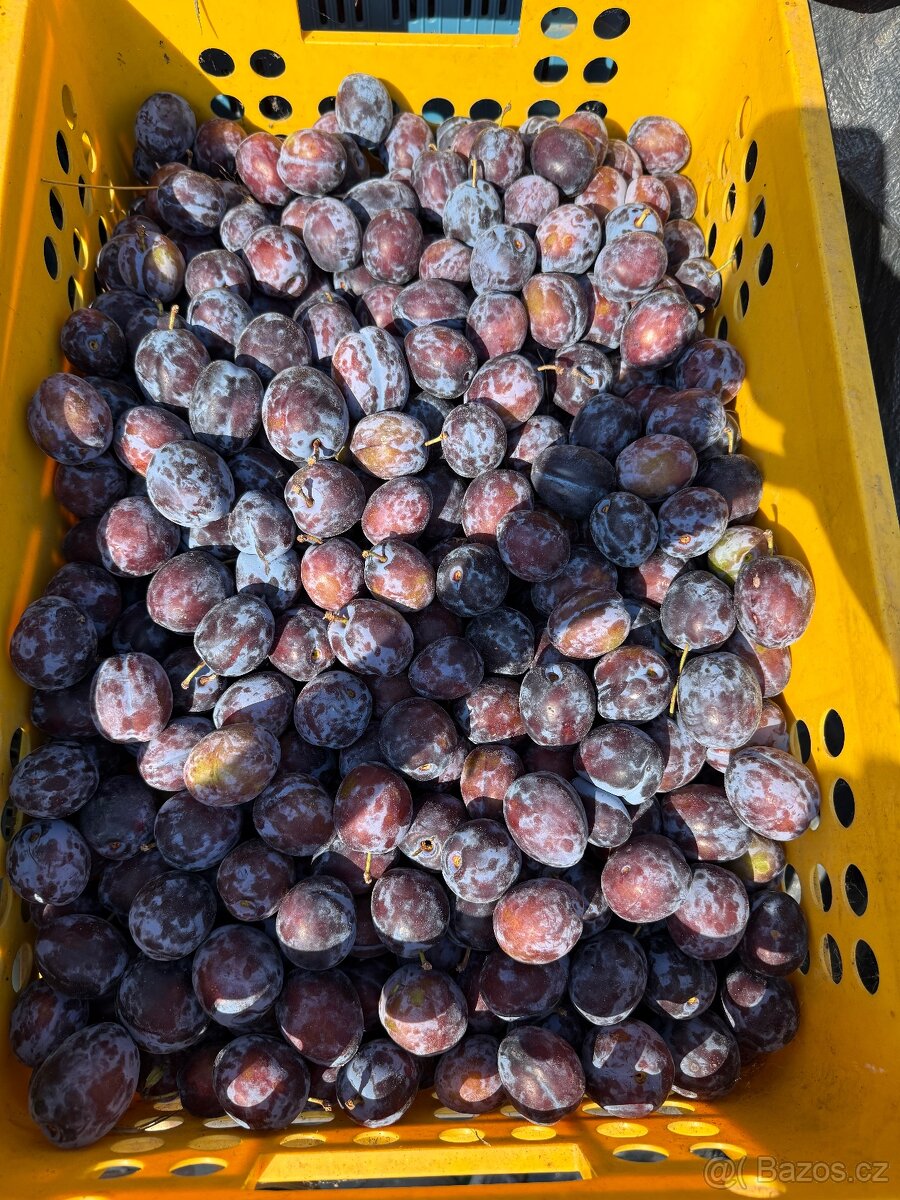 Švestky