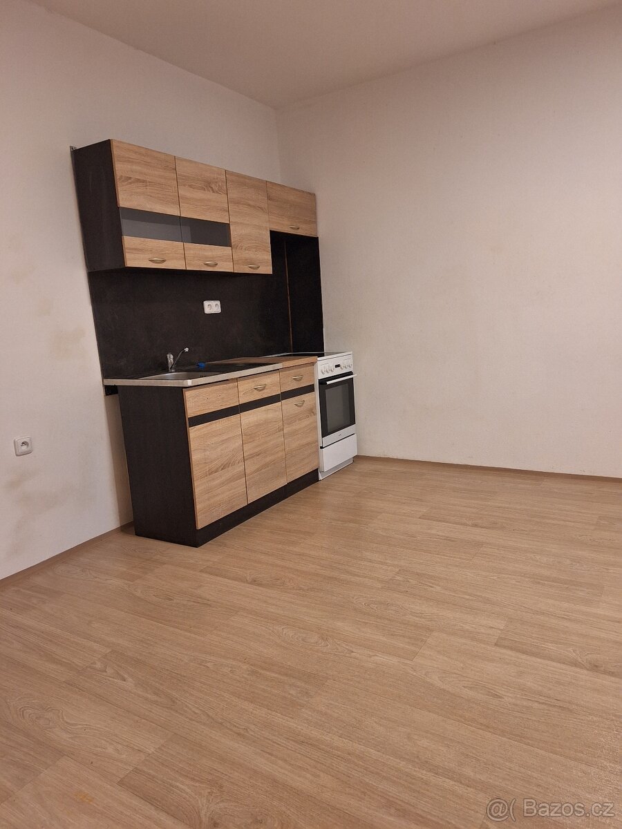 1kk , 29 m2, Chotěšov