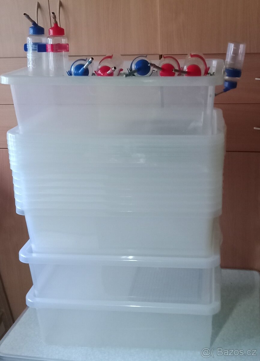 Chovatelske boxy