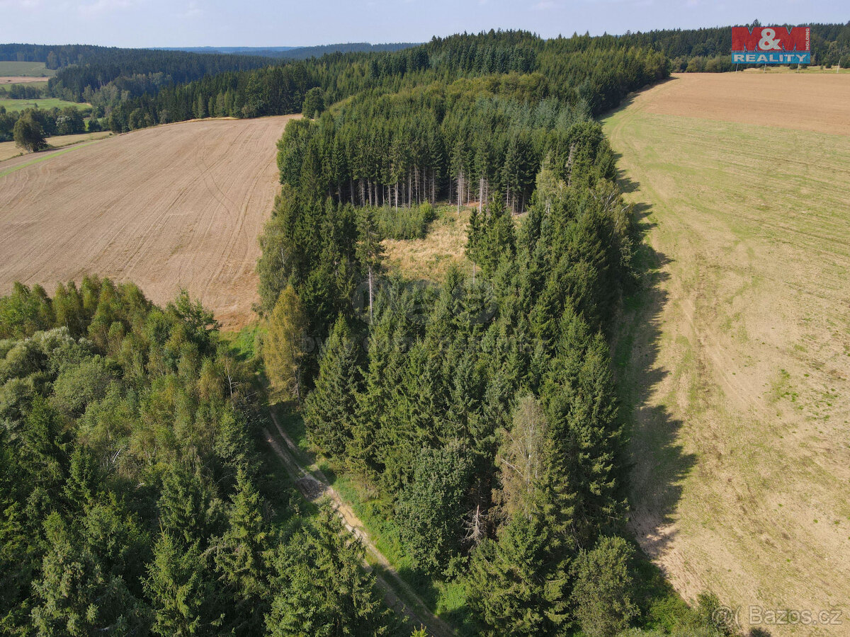 Prodej lesa, 1501 m², Kamenice nad Lipou