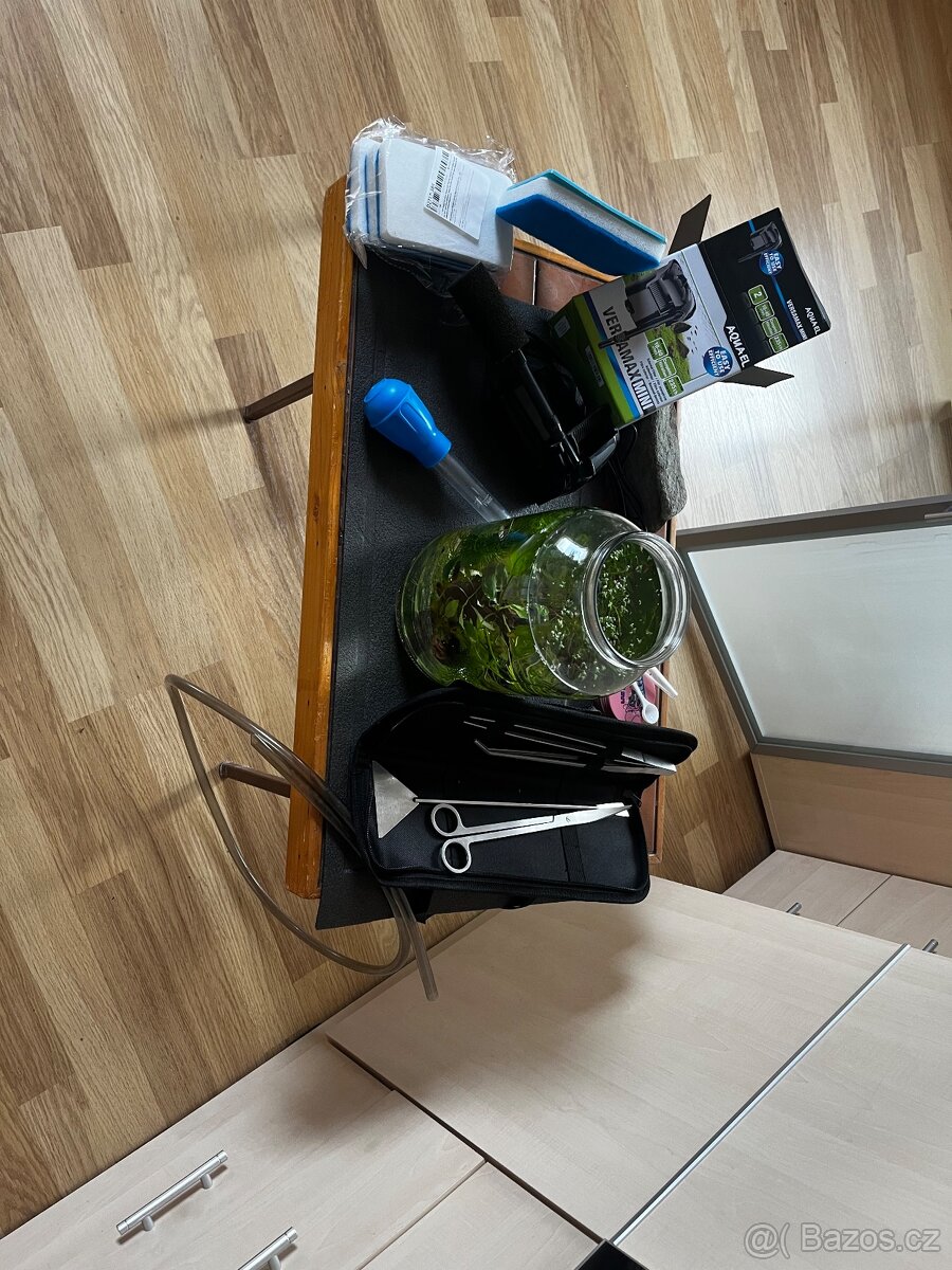 Prodám ryby + vybavení