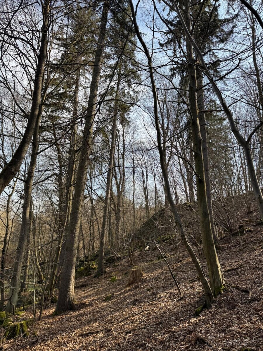 Prodám pozemky v katastrálním území Louňovice pod Blaníkem
