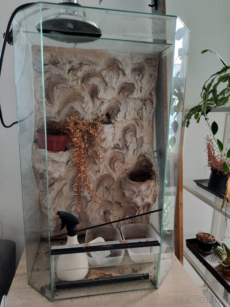 Terarium [rezervováno]