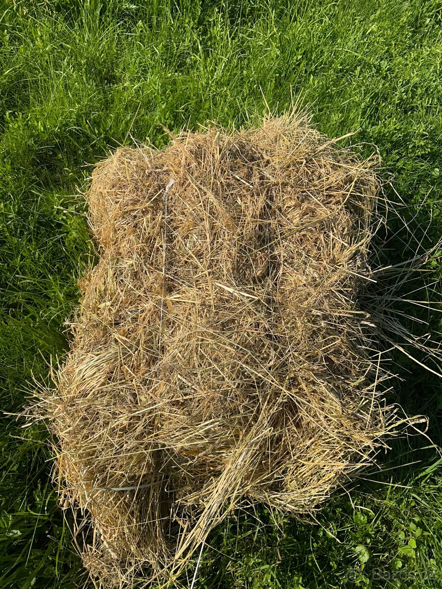 Prodám seno - malé hranaté a velké kulaté