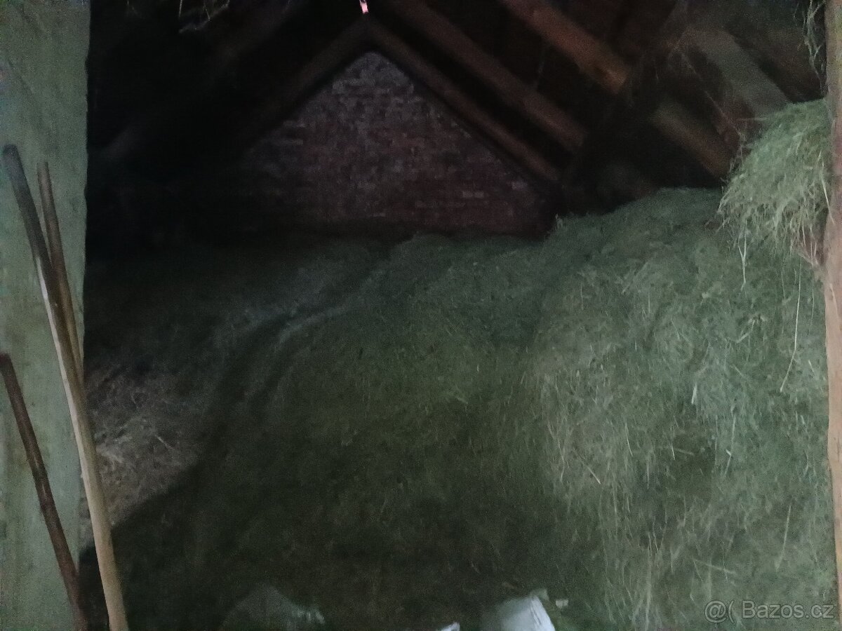 Letošní seno